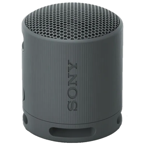 Портативная колонка Sony SRS-XB100 / Черный photo 3
