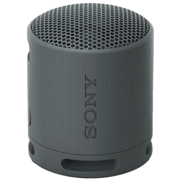 Портативная колонка Sony SRS-XB100 / Черный photo 3