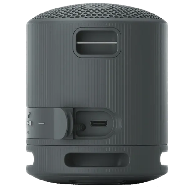 Портативная колонка Sony SRS-XB100 / Черный photo 4