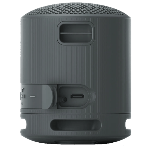 Портативная колонка Sony SRS-XB100 / Черный photo 4