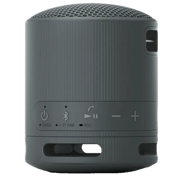 Портативная колонка Sony SRS-XB100 / Черный photo 5