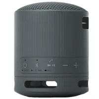 Boxă portabilă Sony SRS-XB100 / Black photo 5