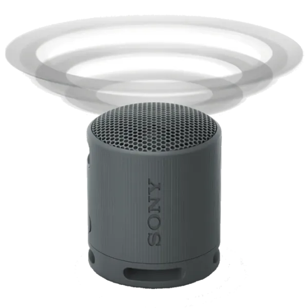 Портативная колонка Sony SRS-XB100 / Черный photo 7