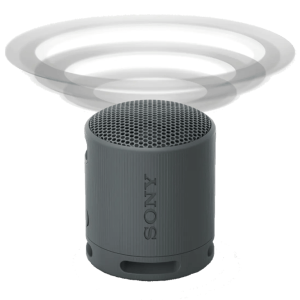 Портативная колонка Sony SRS-XB100 / Черный photo 7