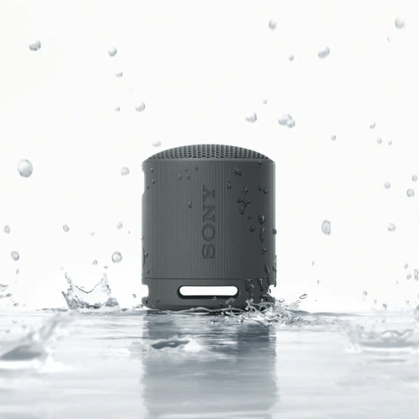 Портативная колонка Sony SRS-XB100 / Черный photo 8