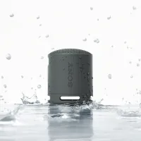 Boxă portabilă Sony SRS-XB100 / Black photo 8