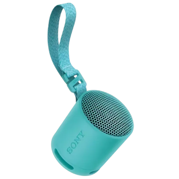 Портативная колонка Sony SRS-XB100 / Синий photo 1