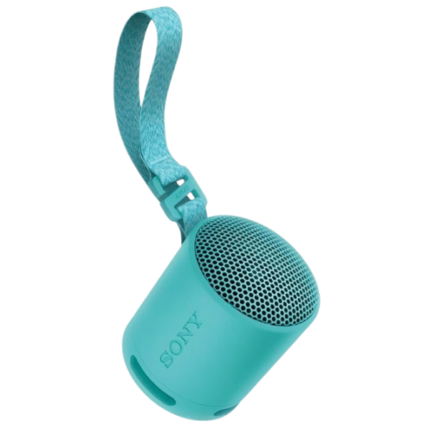 Портативная колонка Sony SRS-XB100 / Синий photo 1