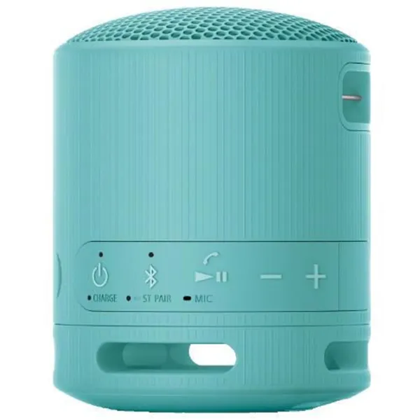 Портативная колонка Sony SRS-XB100 / Синий photo 4