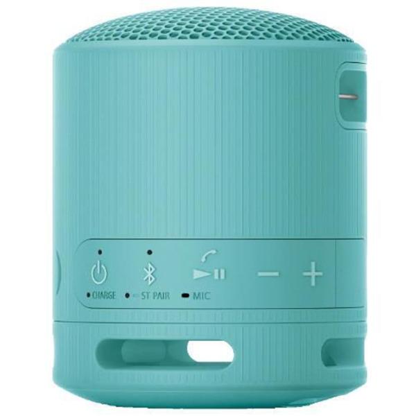Портативная колонка Sony SRS-XB100 / Синий photo 4