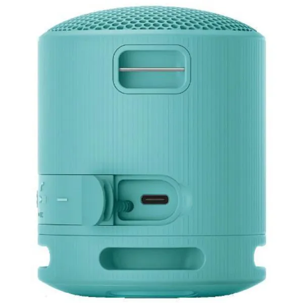 Портативная колонка Sony SRS-XB100 / Синий photo 5