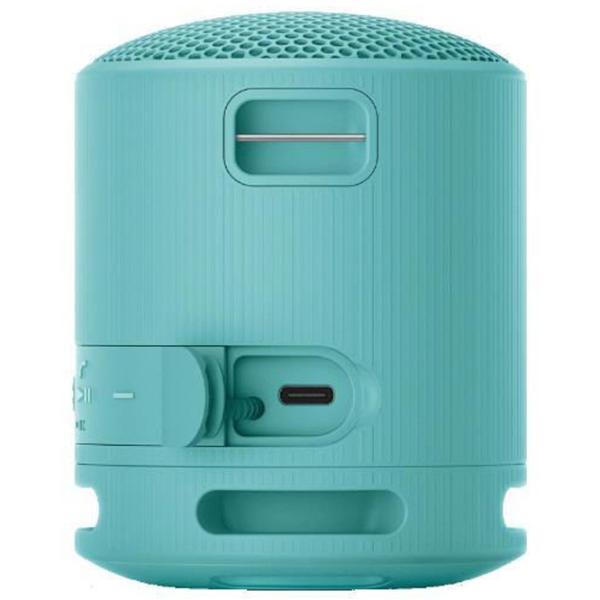 Портативная колонка Sony SRS-XB100 / Синий photo 5