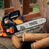 Fierăstrău cu lanţ Sequoia SBC4016BS-E2W Cu acumulator/ Orange photo 7