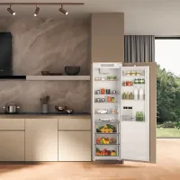 Frigider Whirlpool WHSD18A013C1 fără congelator 306 l / 177 cm / White photo 7
