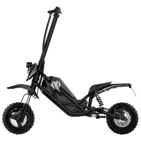 Trotinetă electrică Acer Predator Extreme PES017 350 W/ Black