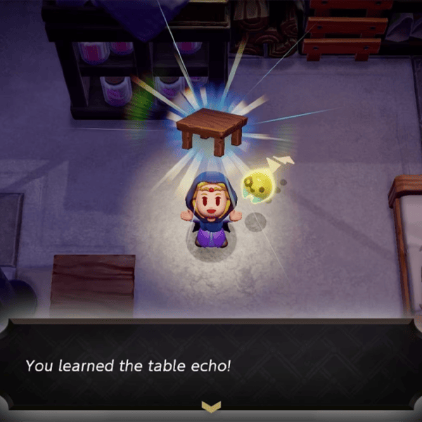 The Legend of Zelda Echoes Of Wisdom Game for Nintendo Switch photo 7