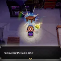 The Legend of Zelda Echoes Of Wisdom Game for Nintendo Switch photo 7