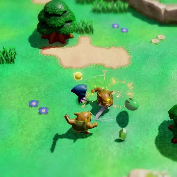 The Legend of Zelda Echoes Of Wisdom Game for Nintendo Switch photo 9