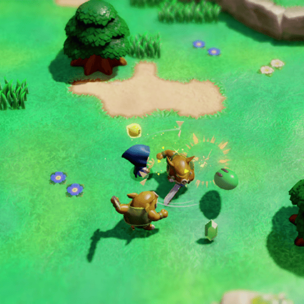 The Legend of Zelda Echoes Of Wisdom Game for Nintendo Switch photo 9