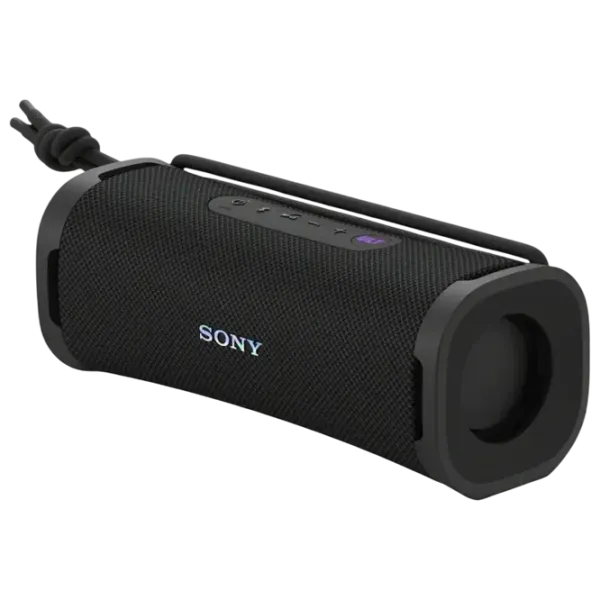Портативная колонка Sony ULT FIELD 1 / Черный photo 1