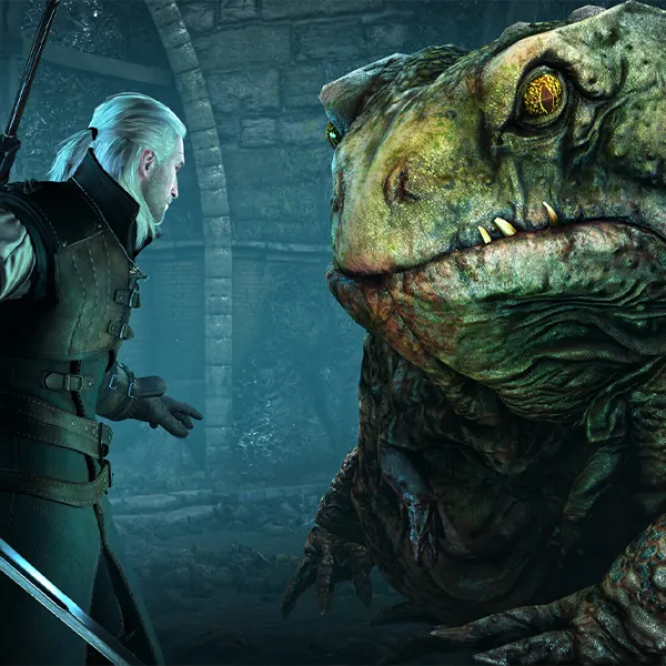The Witcher 3 3: Wild Hunt - Complete Edition Game for Xbox Series X photo 8