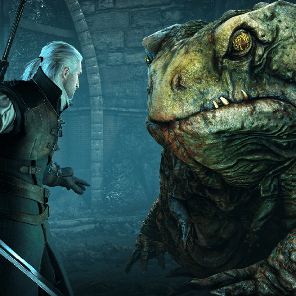 The Witcher 3 3: Wild Hunt - Complete Edition Game for Xbox Series X photo 8