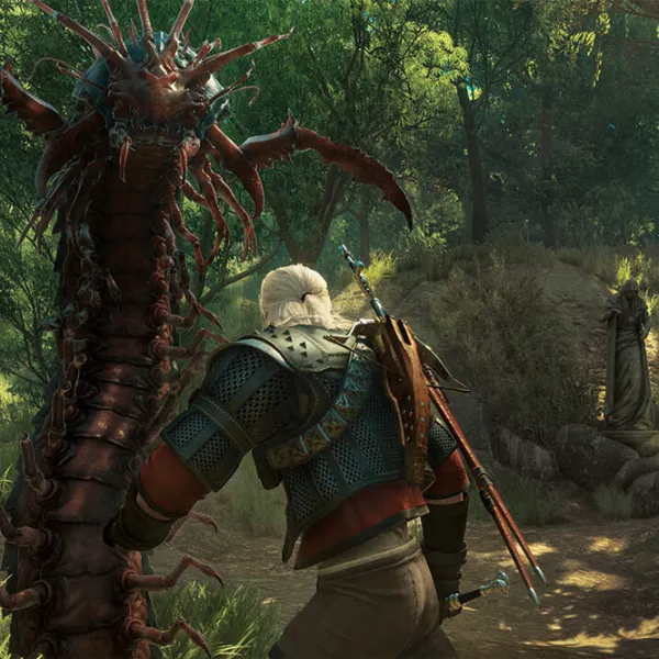 The Witcher 3 3: Wild Hunt - Complete Edition Game for Xbox Series X photo 9