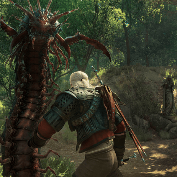 The Witcher 3 3: Wild Hunt - Complete Edition Game for Xbox Series X photo 9