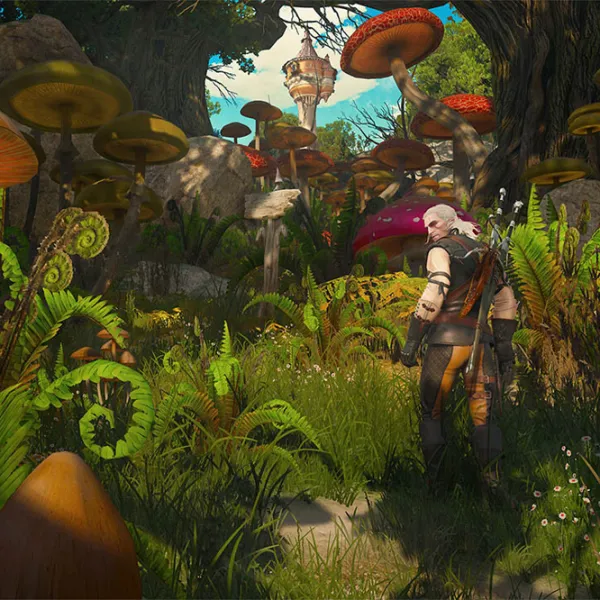 The Witcher 3 3: Wild Hunt - Complete Edition Game for Xbox Series X photo 10