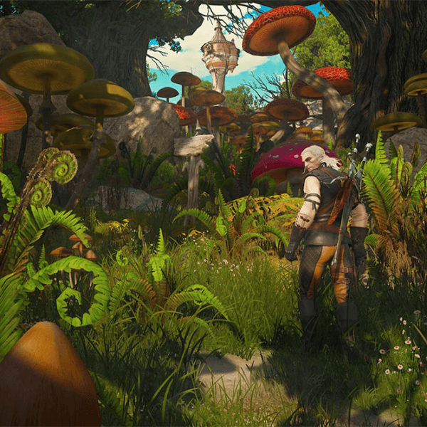 The Witcher 3 3: Wild Hunt - Complete Edition Game for Xbox Series X photo 10