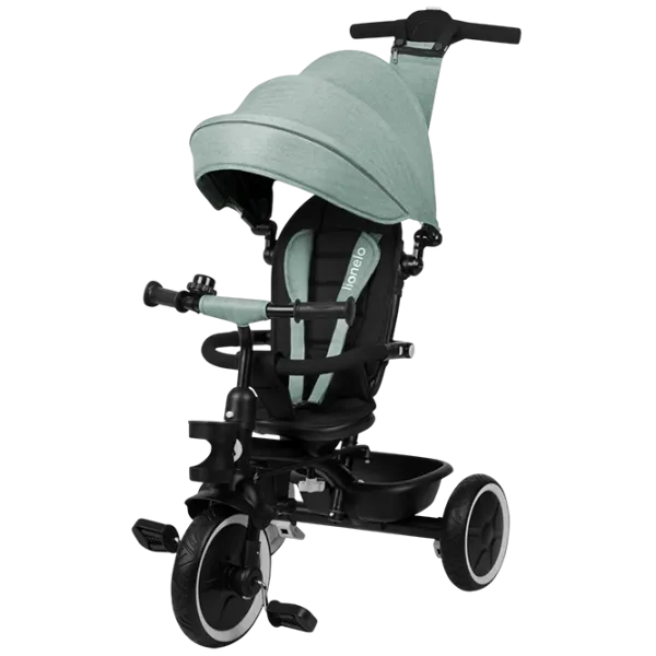 Triciclu Lionelo Berry 25 kg / Green photo 1