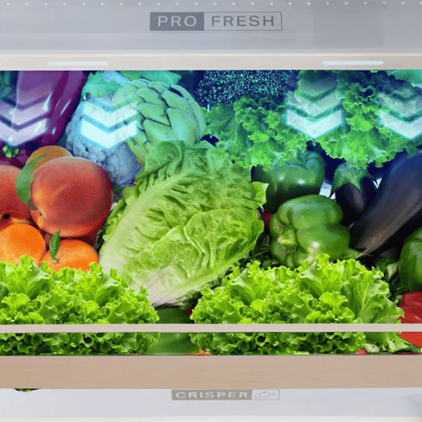 Frigider Whirlpool WHKF 6353 XBR6E cu congelator jos 351 / 203.5 cm / Black photo 6