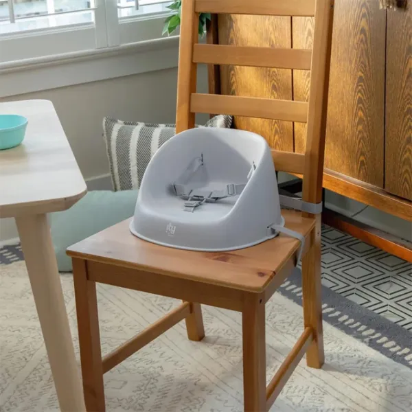 Стульчик для кормления Ingenuity My Spot Easy-Clean (16918) / 6 месяцев / Серый  photo 4