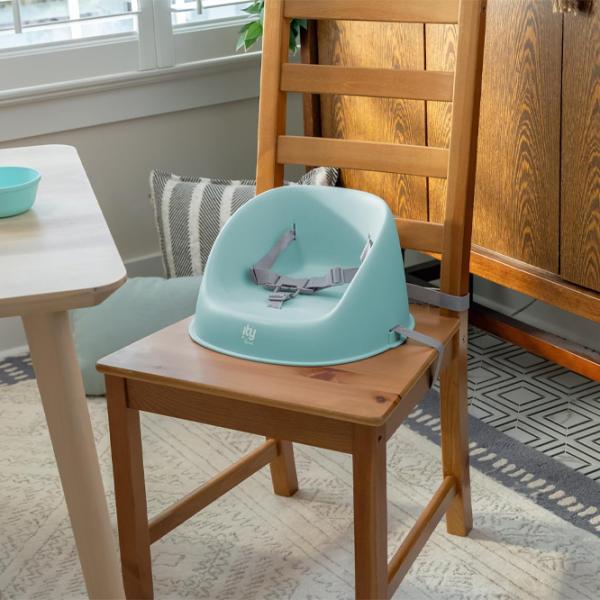 Стульчик для кормления Ingenuity My Spot Easy-Clean (16919) / 6 месяцев / Clean Blue  photo 8