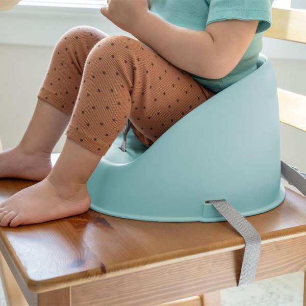 Стульчик для кормления Ingenuity My Spot Easy-Clean (16919) / 6 месяцев / Clean Blue  photo 10