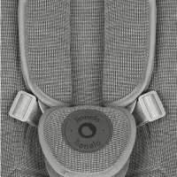 Leagăn pentru bebeluși Lionelo Blossom (LN.223149) 9 kg/ Gray photo 4