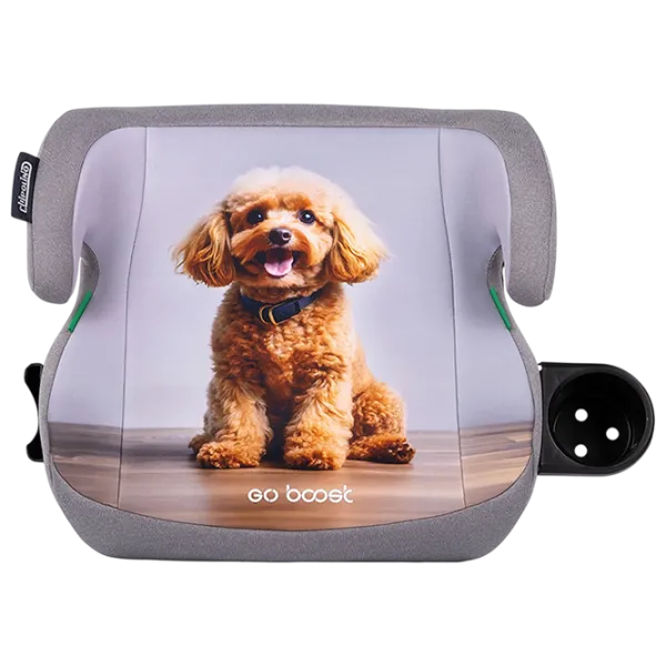 Детское автокресло Chipolino GO BOOST  7 лет - 12 лет / 36 кг / Серый photo 3