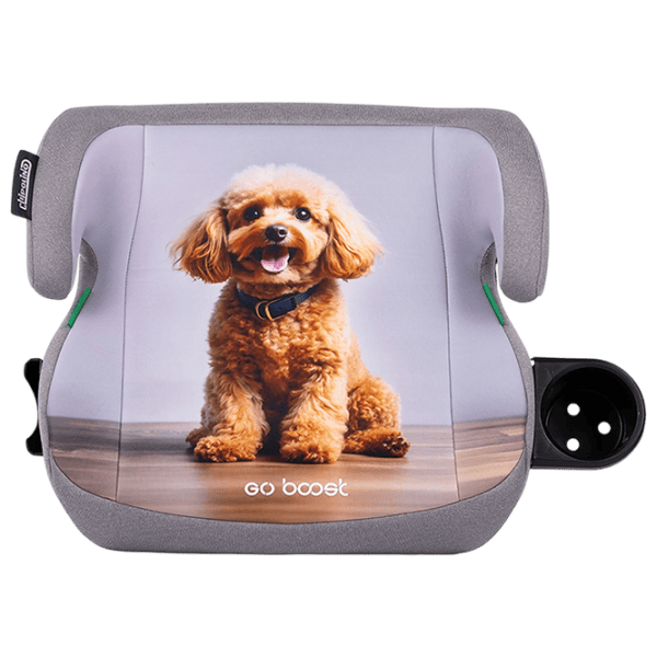 Детское автокресло Chipolino GO BOOST  7 лет - 12 лет / 36 кг / Серый photo 3