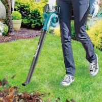Воздуходувка Makita UB101DZ / Зеленый photo 6