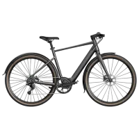 Электровелосипед FIIDO C21 28"  / Серый