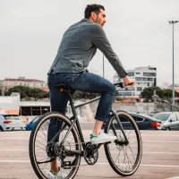 Bicicletă electrică FIIDO C21 28" / Gray photo 6