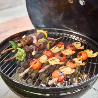 Мангал Weber Smokey Joe Premium W1121004 Уголь / Портативный photo 8