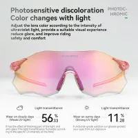 Ochelari de soare Rockbros Polarized Cycling Sunglasses Auriu Black photo 4
