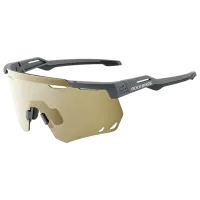 Солнечные очки Rockbros SP323 Classic Sports Cycling Polarized Golden Серый