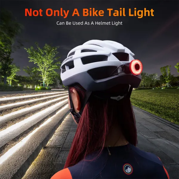Велосипедный фонарь Rockbros Tail Light Break Sense Черный Красный photo 7