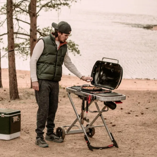 Мангал Weber Traveler W9010075 Газ / Мобильный photo 8