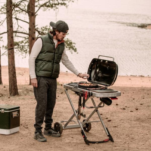 Мангал Weber Traveler W9010075 Газ / Мобильный photo 8