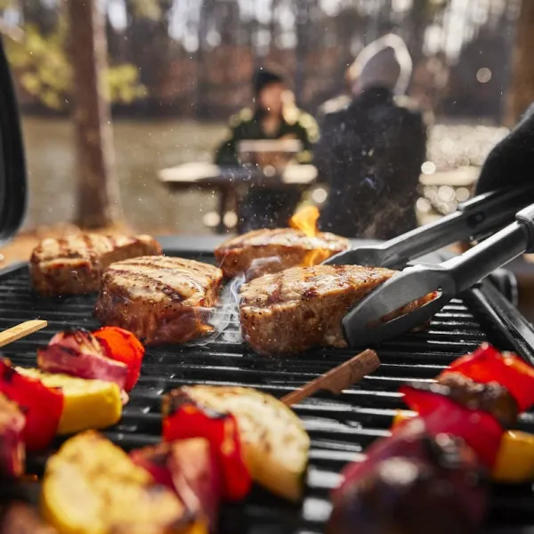 Мангал Weber Traveler Compact W1500527 Газ / Мобильный photo 7