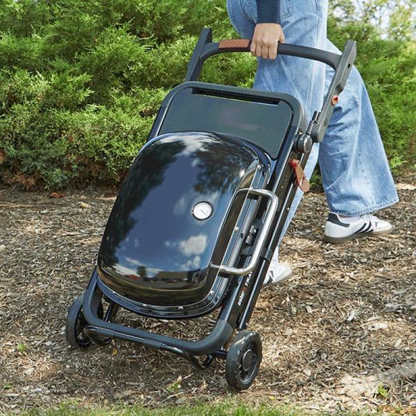 Мангал Weber Traveler Compact W1500527 Газ / Мобильный photo 10