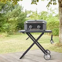 Grătar Cozze G-600 2 Burner Plancha 90514 Gaz / Mobil photo 7